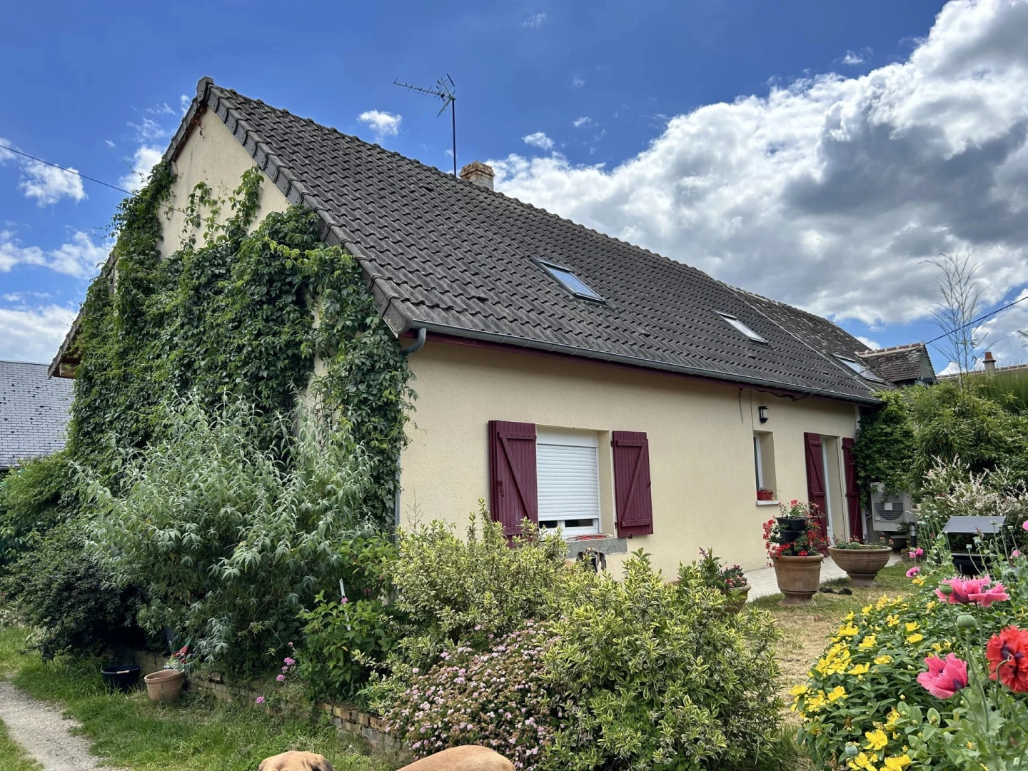 property
